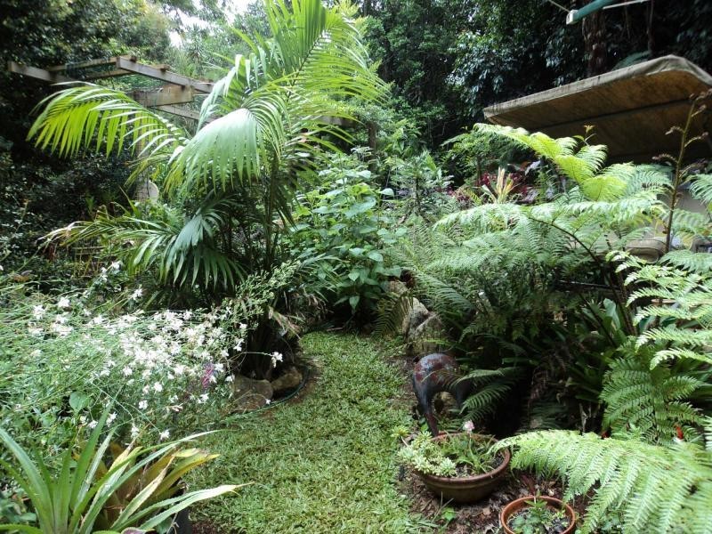 260 Western Avenue, Montville QLD 4560