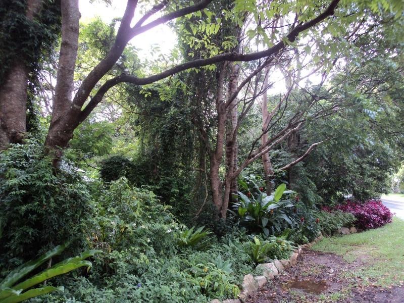 260 Western Avenue, Montville QLD 4560