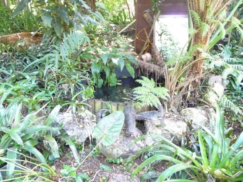 260 Western Avenue, Montville QLD 4560