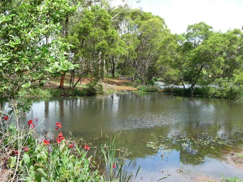 23 Akala Street, Flaxton QLD 4560