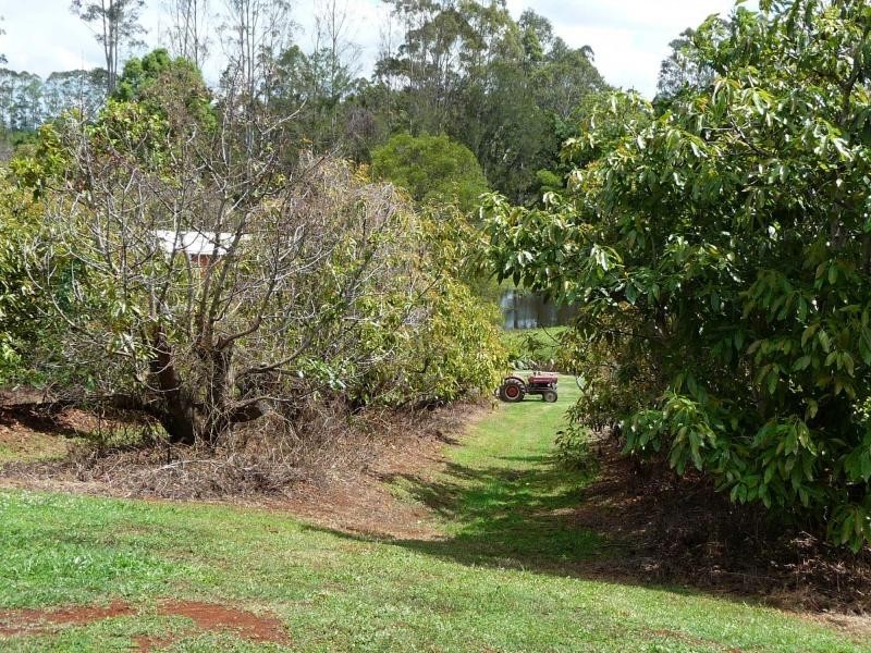 23 Akala Street, Flaxton QLD 4560