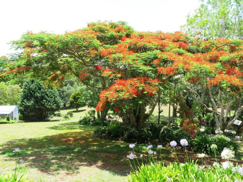 Flaxton QLD 4560