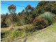 Kureelpa QLD 4560