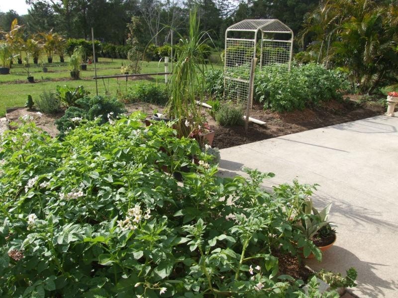 743 Maroochydore Road, Forest Glen QLD 4556