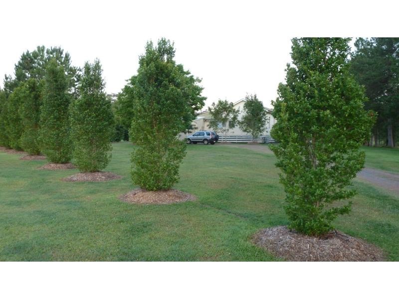 743 Maroochydore Road, Forest Glen QLD 4556