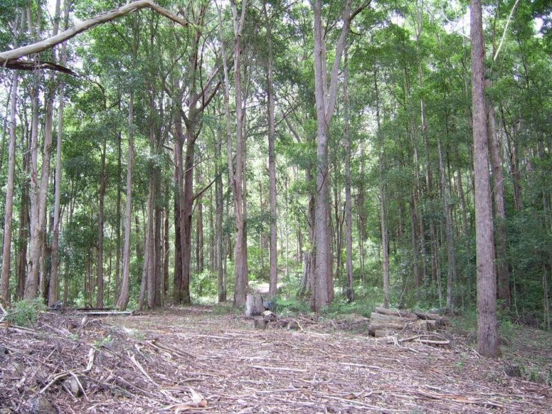 46 Smith Road, Mapleton QLD 4560