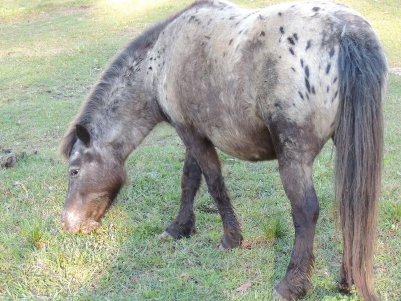 Gheerulla QLD 4574