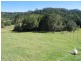 Dulong QLD 4560