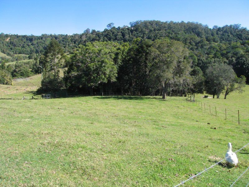 Dulong QLD 4560