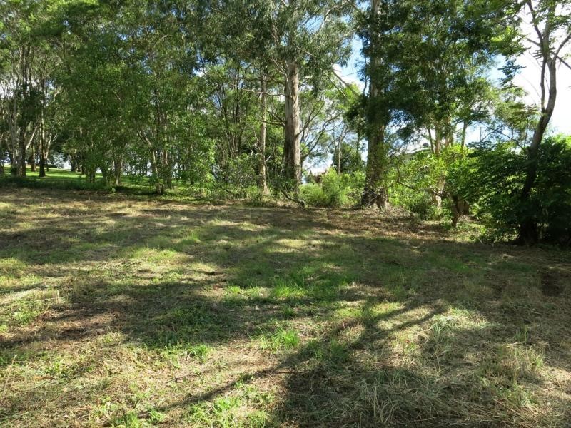 Montville QLD 4560