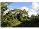 Flaxton QLD 4560