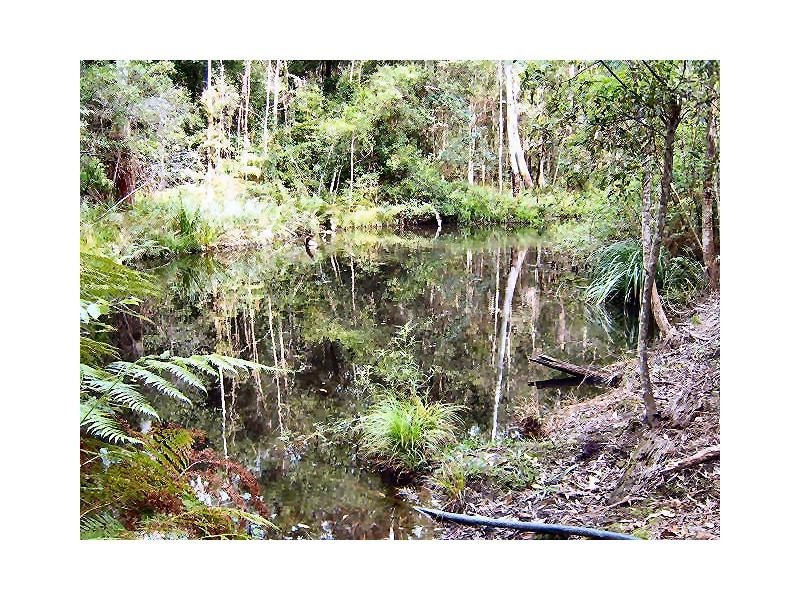 119 Delicia Road, Mapleton QLD 4560