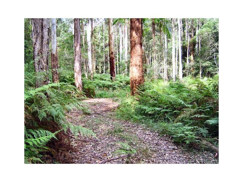 119 Delicia Road, Mapleton QLD 4560