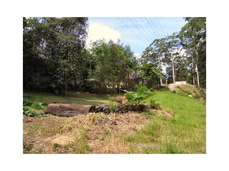 119 Delicia Road, Mapleton QLD 4560