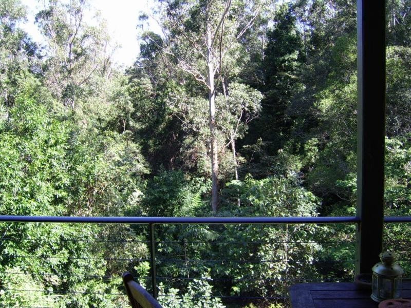 77 Kondalilla Falls Road, Montville QLD 4560