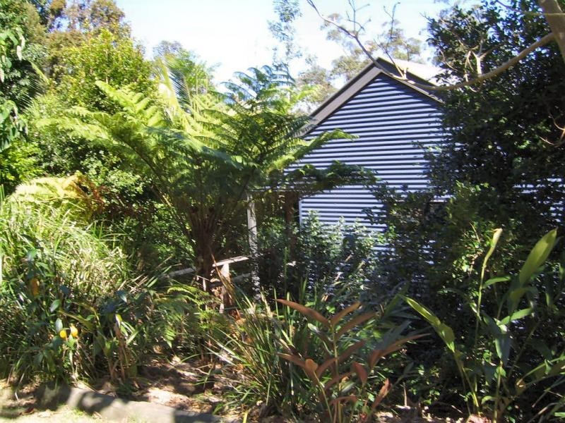 77 Kondalilla Falls Road, Montville QLD 4560
