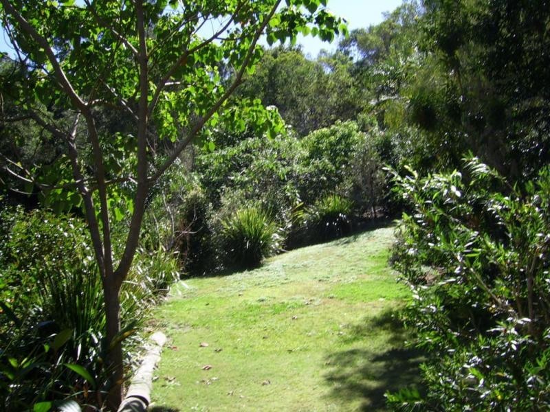 77 Kondalilla Falls Road, Montville QLD 4560