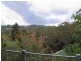 77 Kondalilla Falls Road, Montville QLD 4560