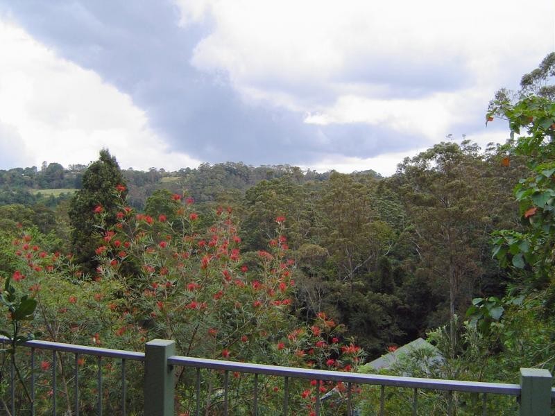 77 Kondalilla Falls Road, Montville QLD 4560