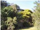 77 Kondalilla Falls Road, Montville QLD 4560