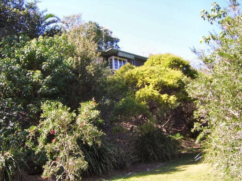 77 Kondalilla Falls Road, Montville QLD 4560