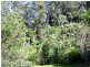 77 Kondalilla Falls Road, Montville QLD 4560