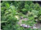 77 Kondalilla Falls Road, Montville QLD 4560