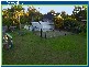 Forestdale QLD 4118