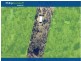 Greenbank QLD 4124