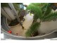 425/87 First Ave, Mooloolaba QLD 4557