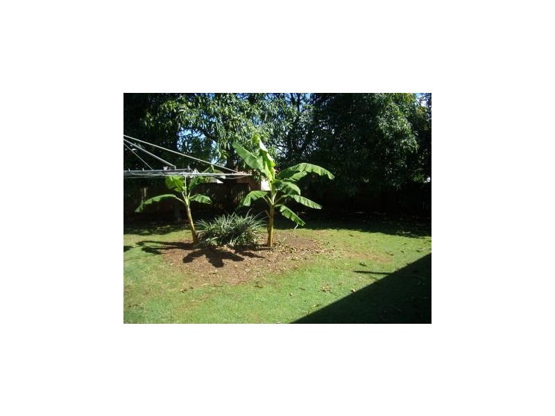 15 Poinsenttia Avenue, Mooloolaba QLD 4557