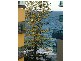 9127/11 The Esplanade, Mooloolaba QLD 4557