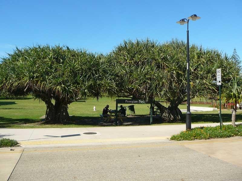 10 Grebe Streeet, Peregian Beach QLD 4573