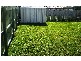 40 Bernheid Crescent, Sippy Downs QLD 4556