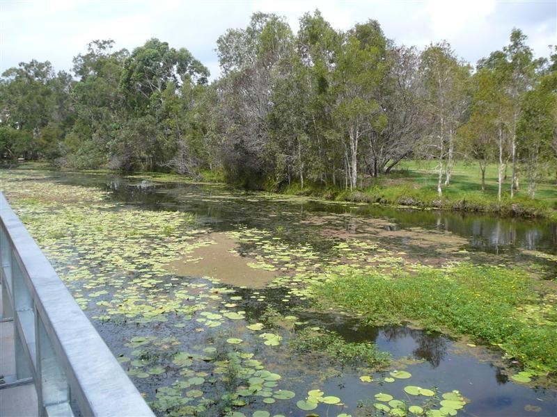 15 Carnaby Street, Maroochydore QLD 4558