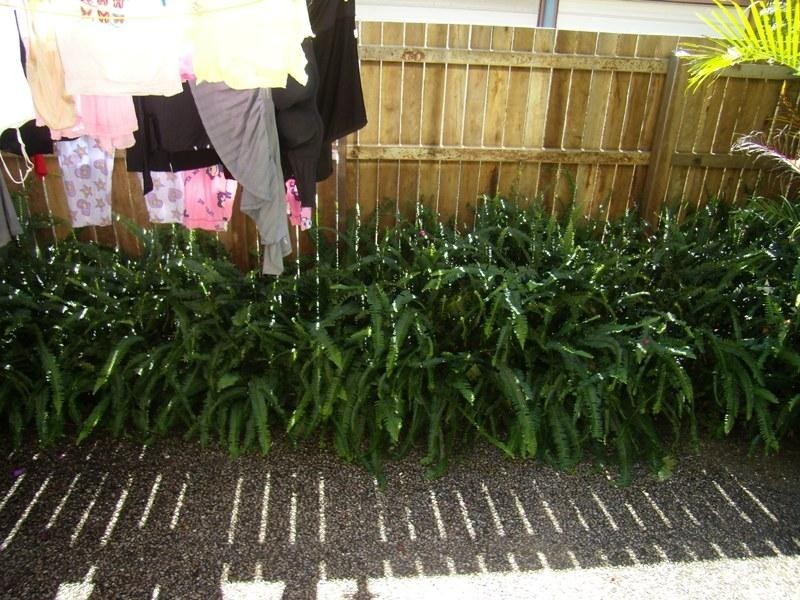 5/162 Tepequar Drive, Maroochydore QLD 4558