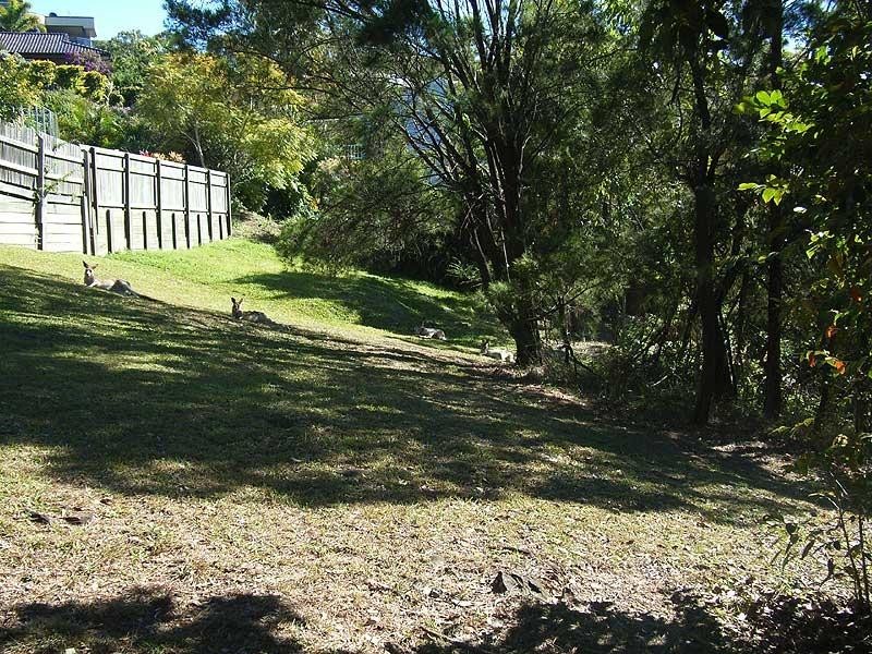 3 Karawatha Street, Buderim QLD 4556