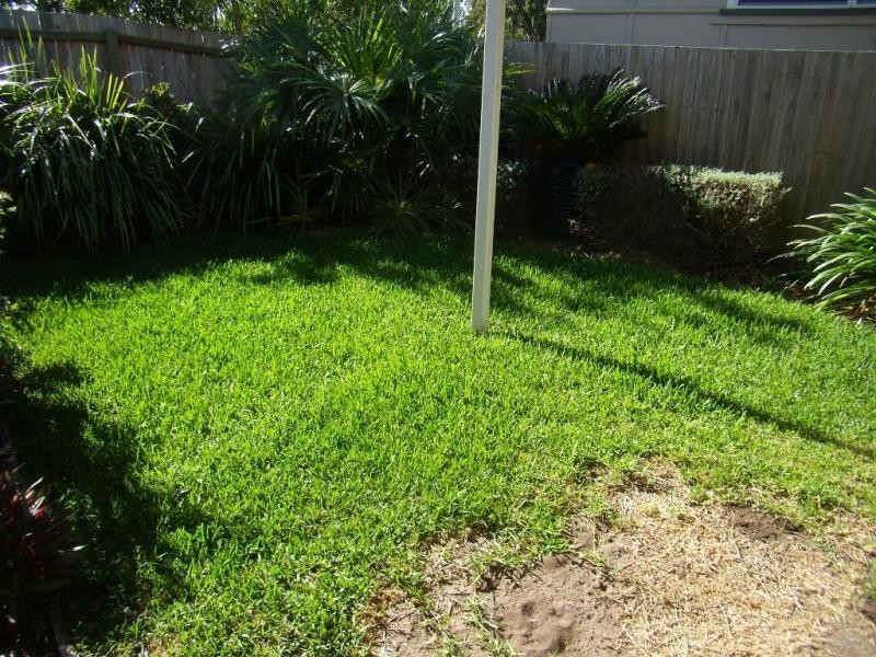 5/115 Bradman Avenue, Maroochydore QLD 4558