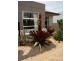 3 Schooner Drive, Wurtulla QLD 4575