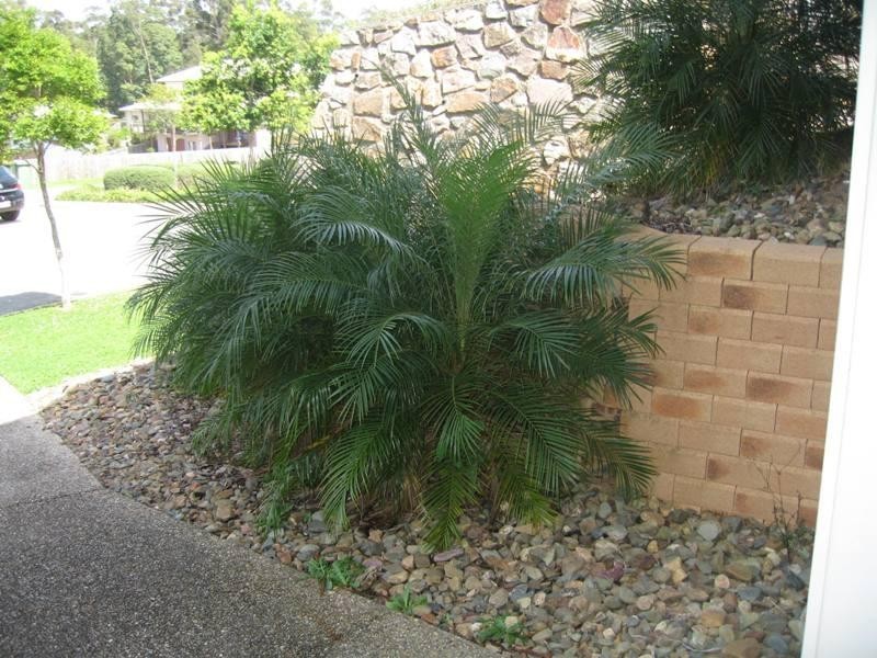 13 Pear Court, Buderim QLD 4556