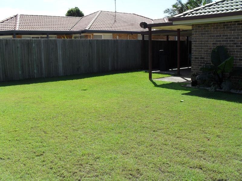 12 Honeymyrtle Court, Mountain Creek QLD 4557