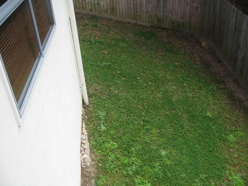 13 Pear Court, Buderim QLD 4556