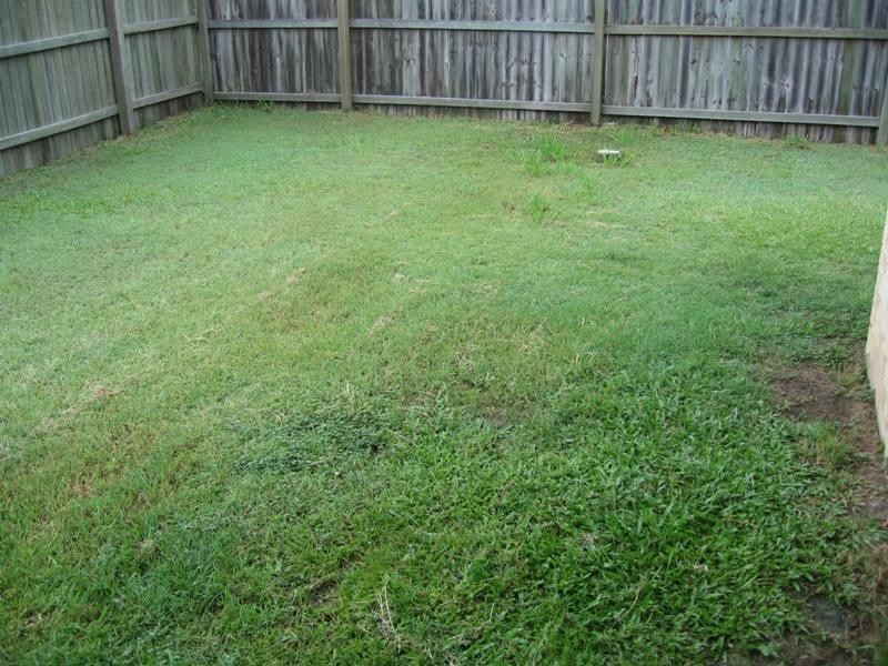 16 Dorian Crescent, Sippy Downs QLD 4556