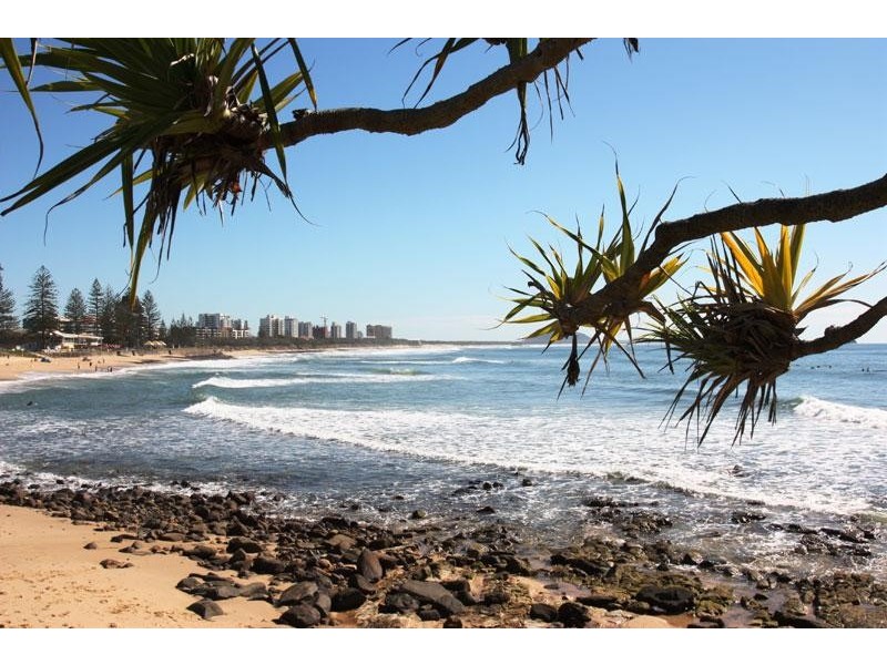 430/180 Alexandra Pde, Alexandra Headland QLD 4572