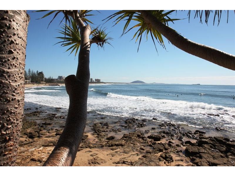 430/180 Alexandra Pde, Alexandra Headland QLD 4572