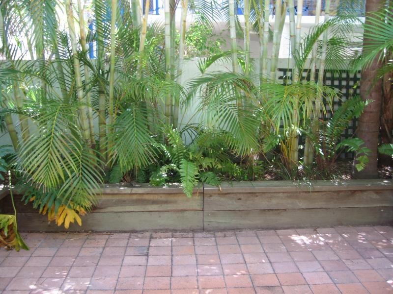 12/70 Sixth Avenue, Cotton Tree QLD 4558