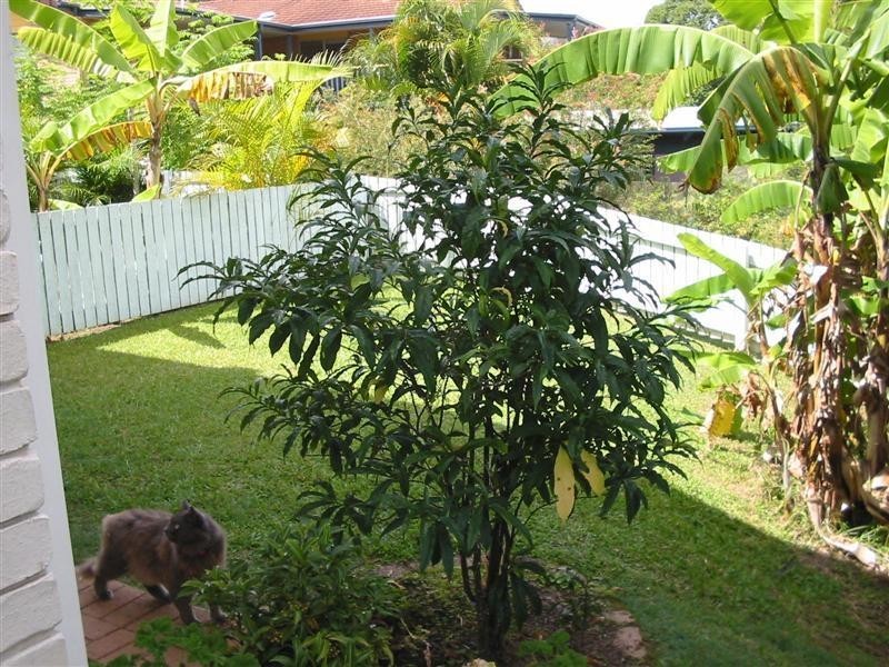 34/104 Millwell Road, Maroochydore QLD 4558