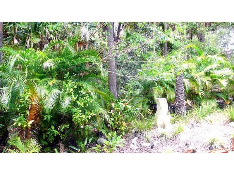 135 Poinsettia Court, Mooloolaba QLD 4557