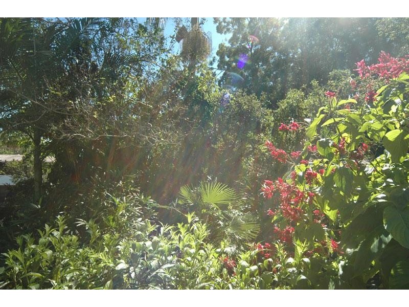 Alexandra Headland QLD 4572