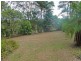 308 Diddillibah Road, Diddillibah QLD 4559